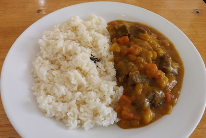 和風カレー（ビーフ）